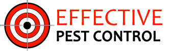 Effective Pest Control Homepage